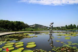 辰山植物园